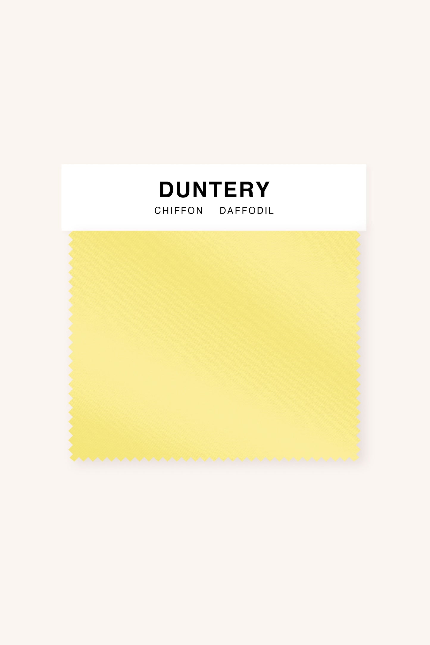 [Daffodil]