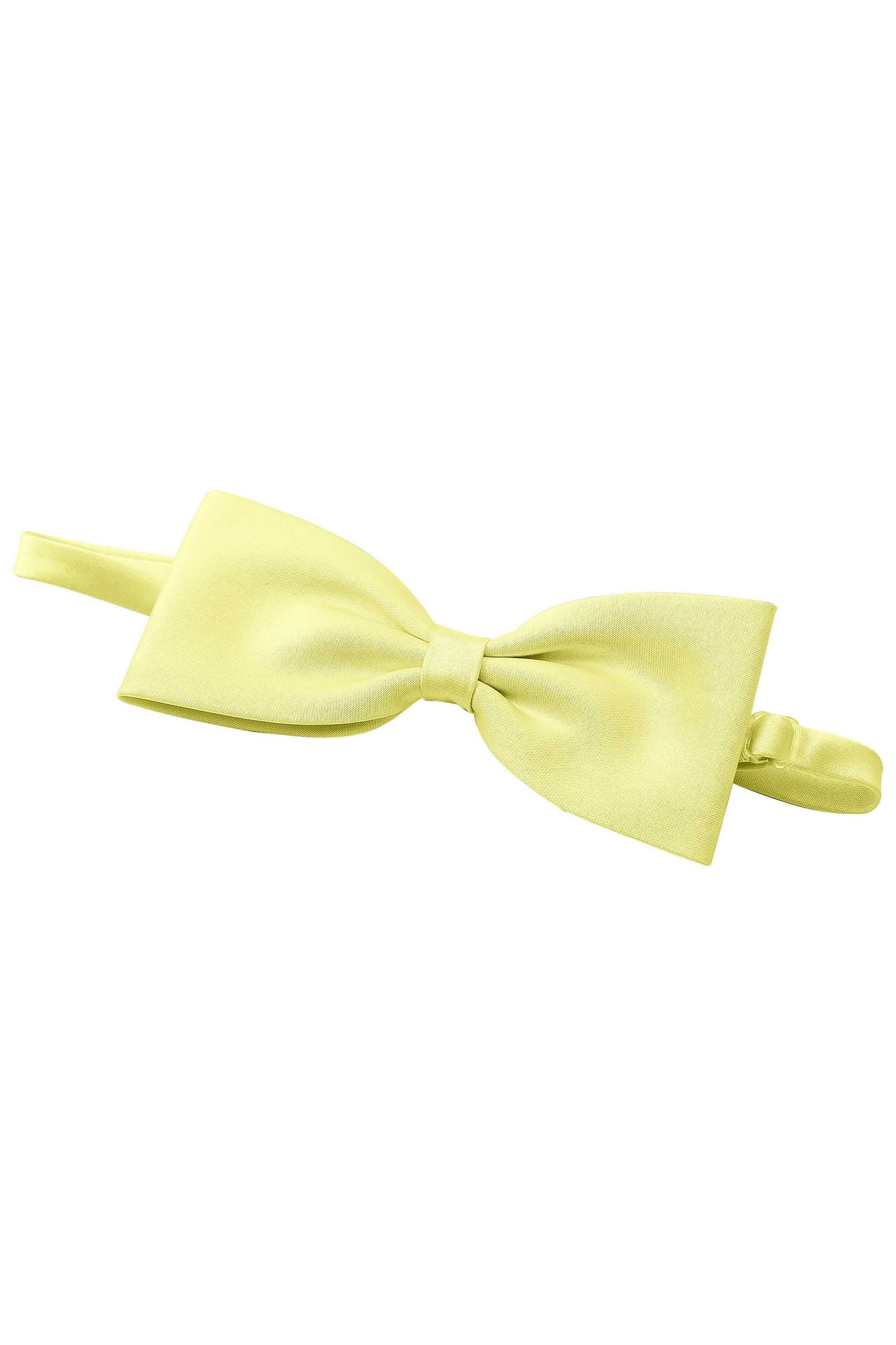 [Amarillo Narciso]