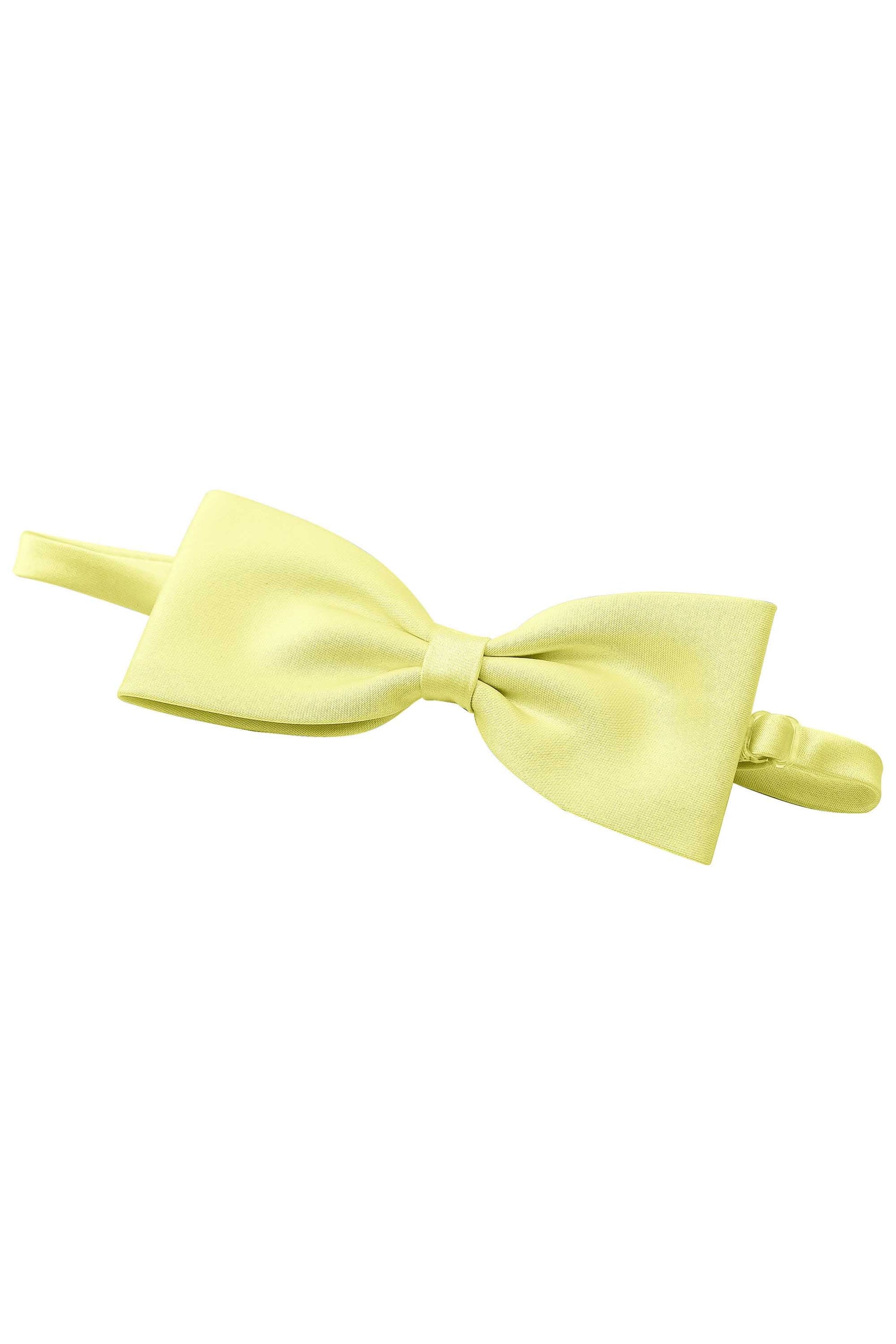 [Amarillo Narciso]